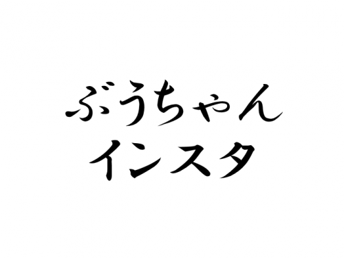 ぶうちゃん インスタ